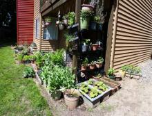 2015-05-02 14.24.14.jpg 