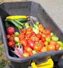 Garden cart